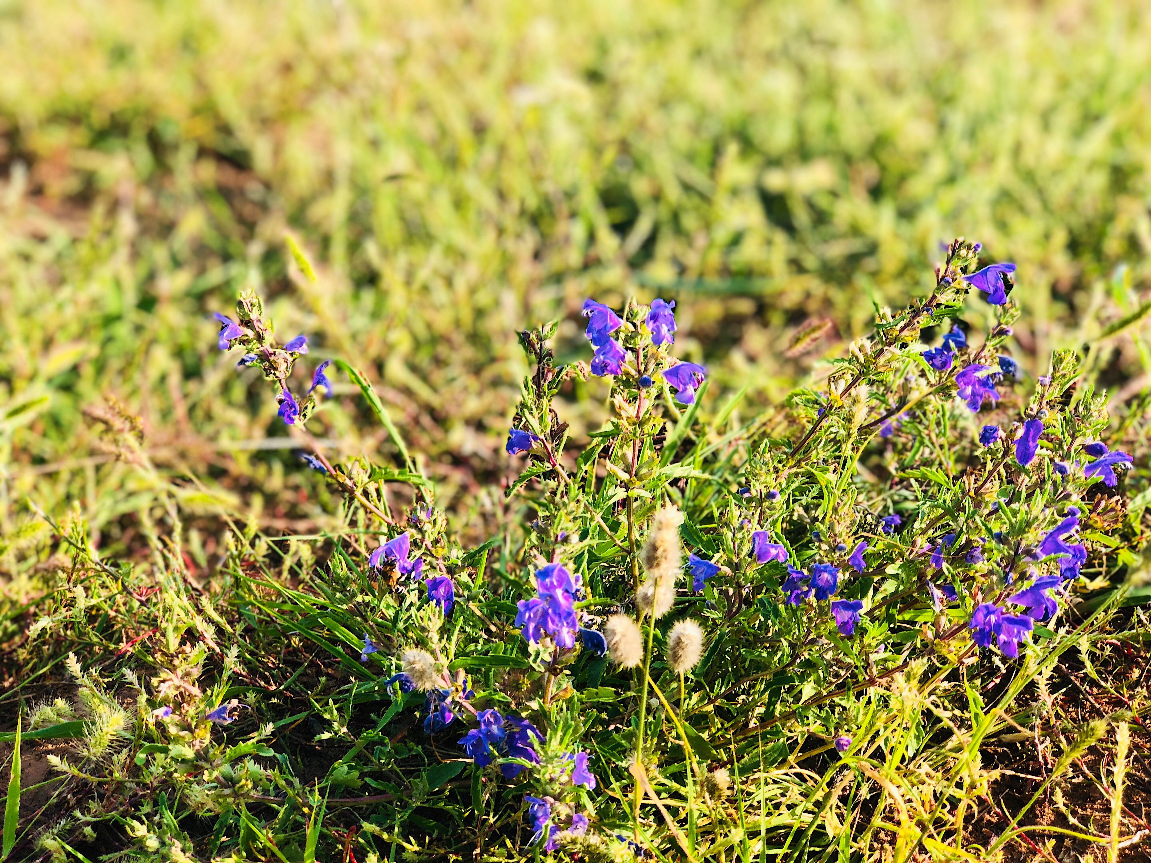分享I鄂尔多斯少年那达慕，意义非凡的一场研学之旅
