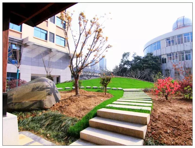 再见合肥师范完整视频,合肥二中校园