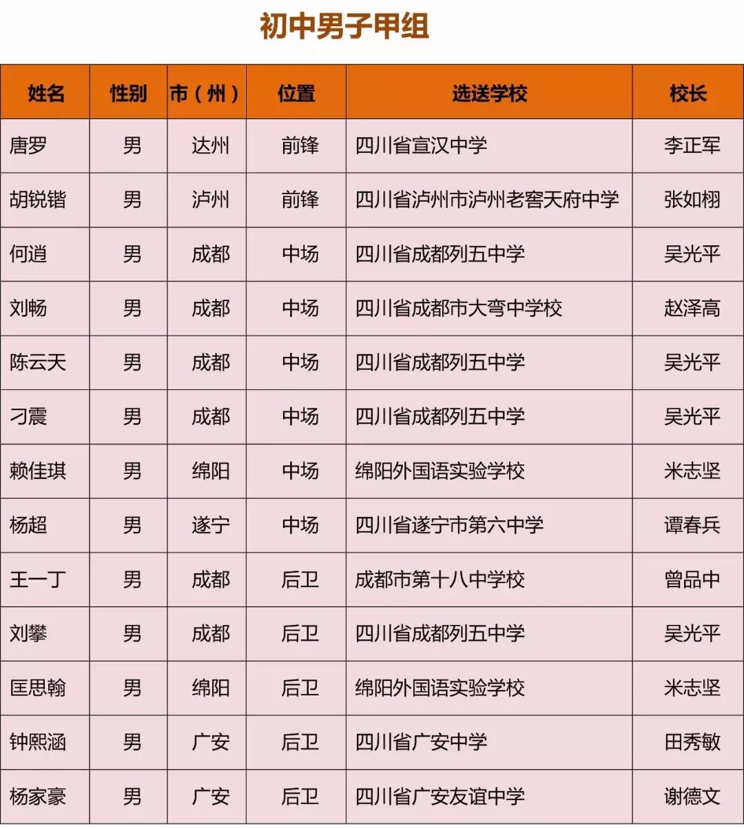 四川省青少年校园足球,四川足球省队青少年名单