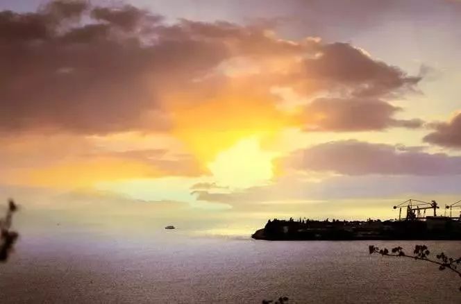 香港旅游攻略必玩的景点优秀4篇,香港必打卡景区