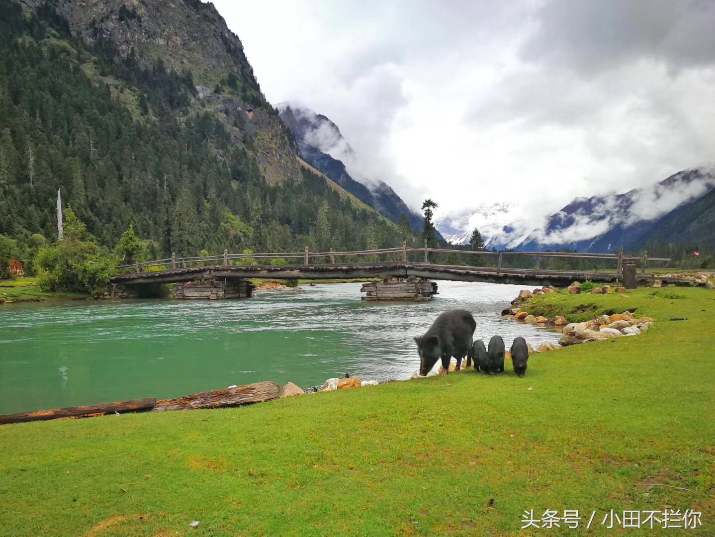 我在意大利的日子,我在意大利完整版