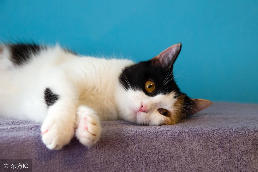 吐槽大会无聊且枯燥,吐槽大会不想上班主题