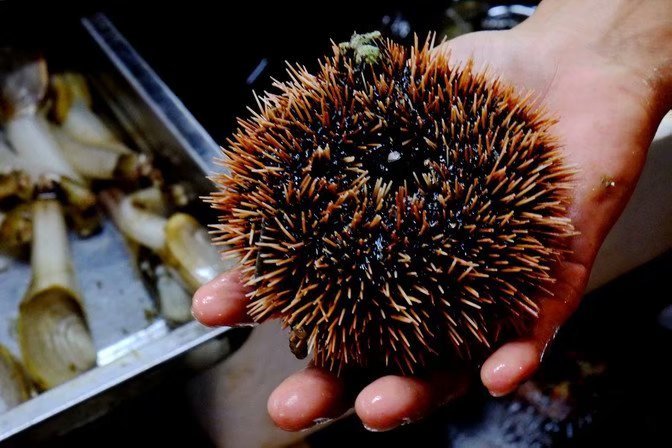 和妈妈第一次一起旅游,三亚潜水旅行攻略