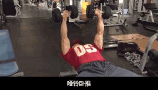 哑铃居家全身训练计划,一周三练全身哑铃训练计划