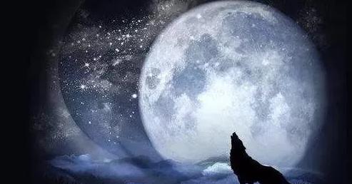 网络营销推广什么方法最有效,网络营销推广最新方法大全