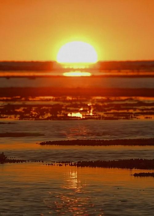 太阳到底是什么颜色一年级,太阳是什么颜色阅读理解答案