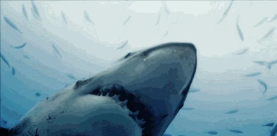 如果没有这部9.6，血腥猎奇的电影还要骗我们多久？