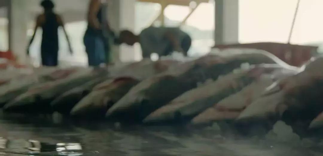 如果没有这部9.6，血腥猎奇的电影还要骗我们多久？