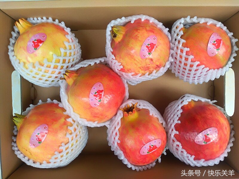 会理石榴之乡突尼斯软籽石榴,会理县软籽石榴之乡