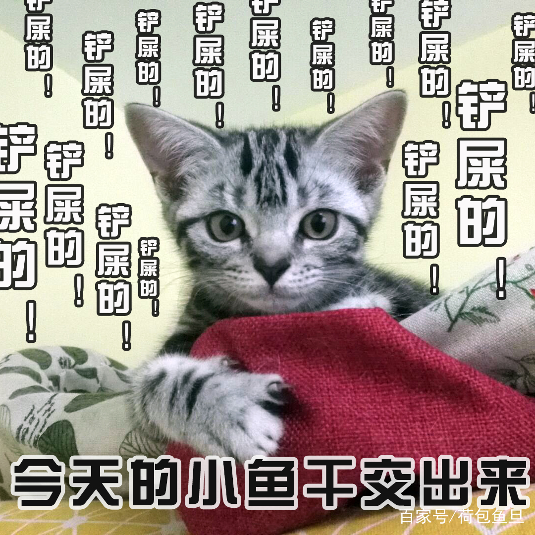 猫咪零食大全推荐,猫咪最喜欢吃什么零食