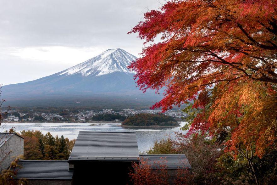 星野集团第十分公司,星野集团官网在线预订