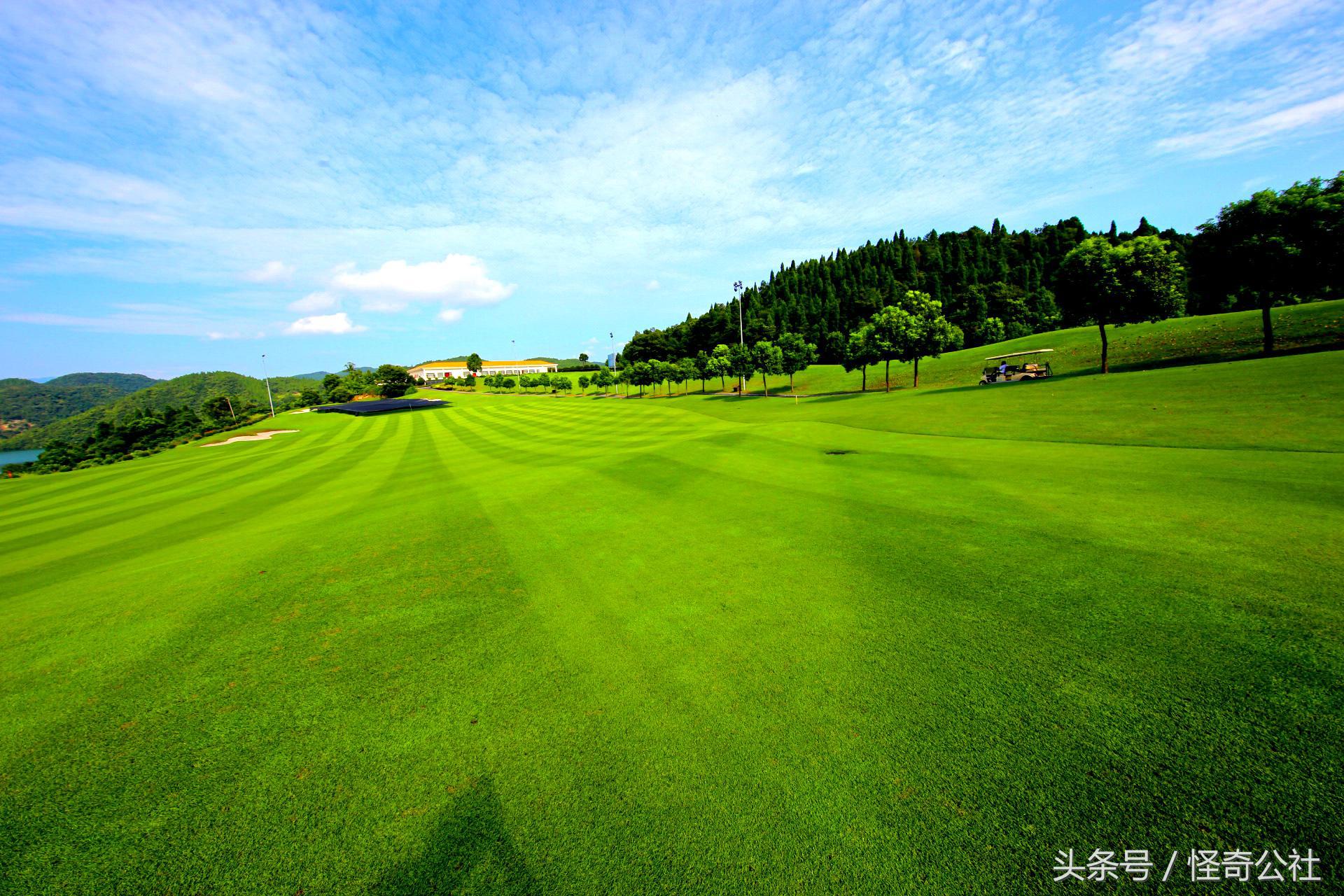 新闻报道处理好“11个关系”，你就是个智慧的媒体人，你赞同吗？