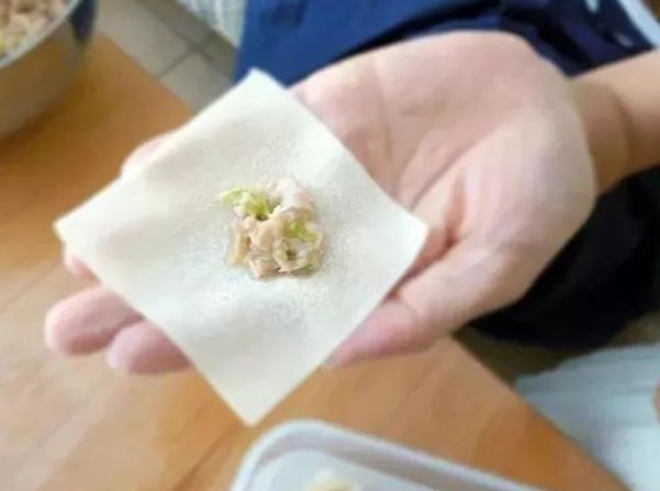 十种最漂亮的云吞包法,云吞包法视频12种包法