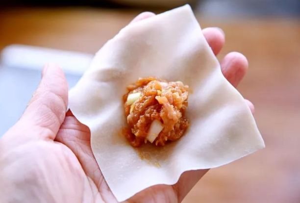 十种最漂亮的云吞包法,云吞包法视频12种包法