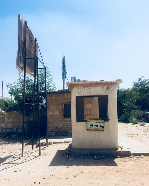 年少时的梦原文朗读,年幼时的梦