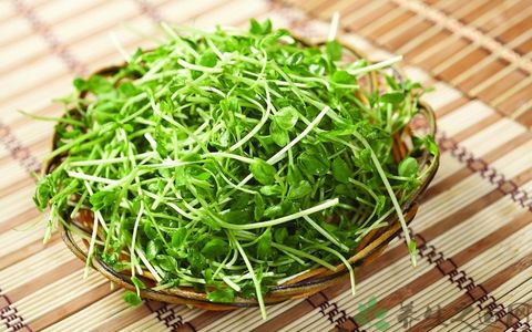 这菜营养不输西兰花，播种20天可采收，连收10次，每亩可达万元！