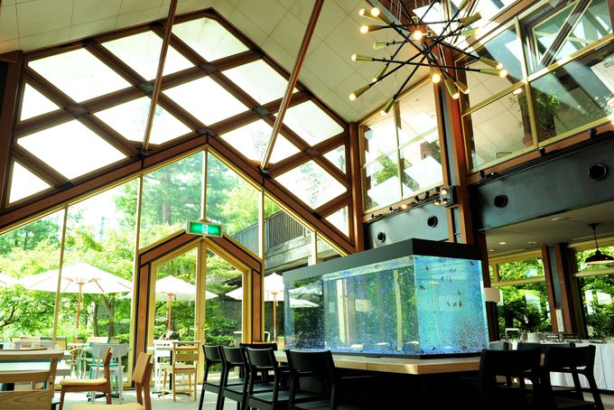 京都站美食,京都美食打卡地夜市小吃街