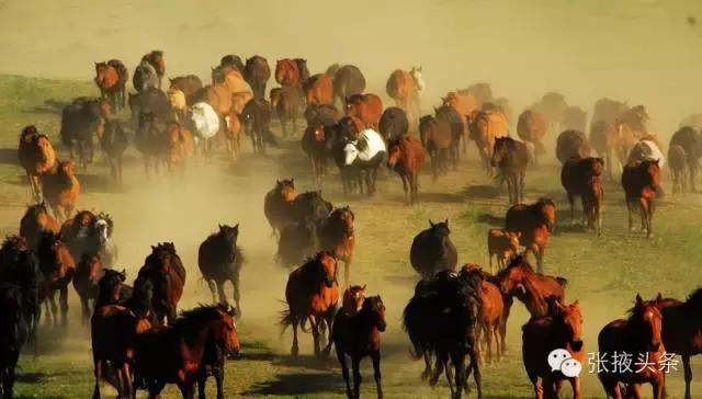 甘肃张掖旅游景点英文视频,张掖七彩丹霞旅游攻略
