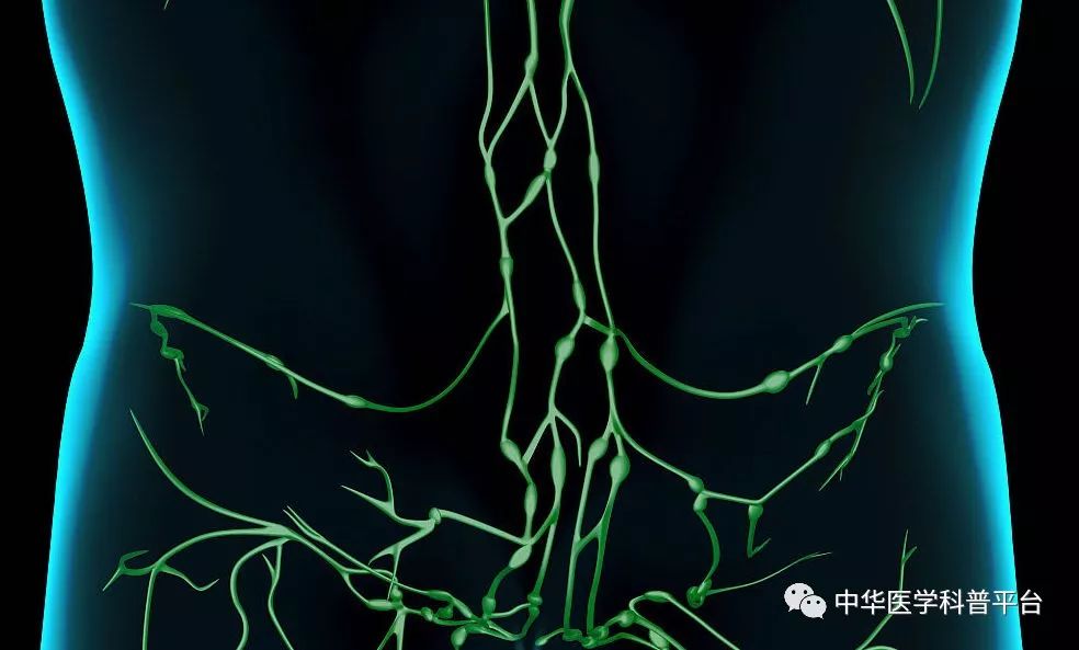 淋巴结肿大需要了解哪些内容,淋巴结你该了解的小知识