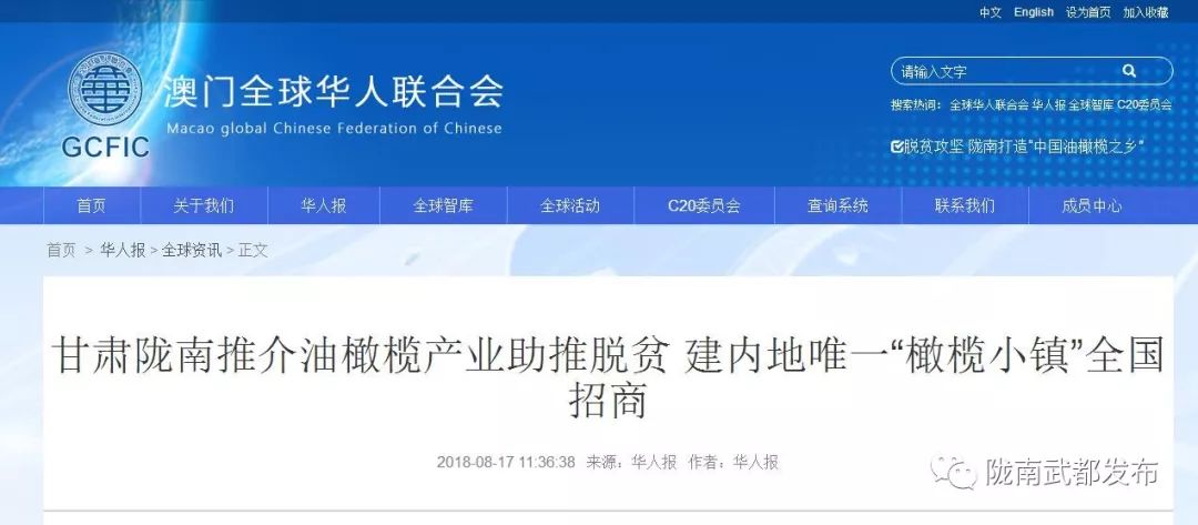 陇南武都橄榄产业发展,陇南油橄榄产业