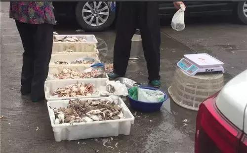 81890,这一串电话数字,相信每个宁波人都打过……