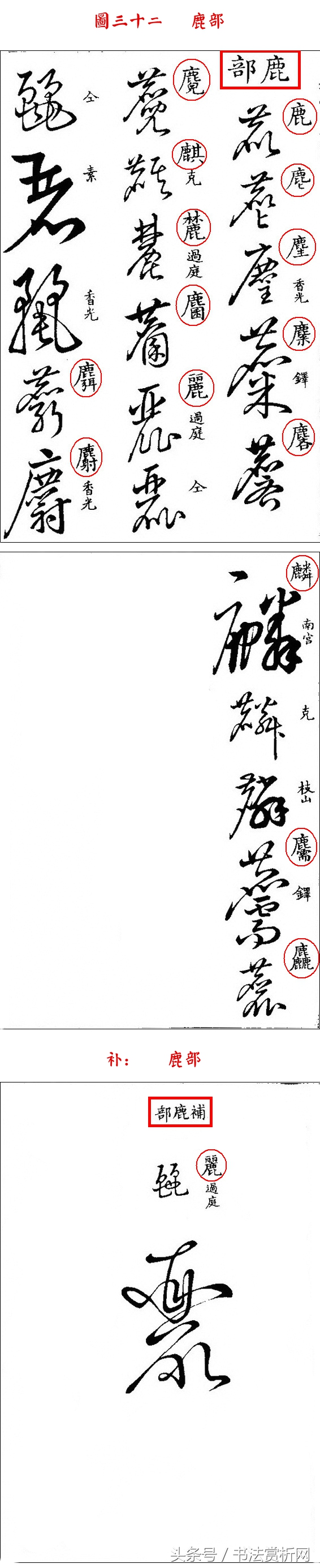 书法欣赏草书名家作品赏析,历代草书名家草体总汇之六