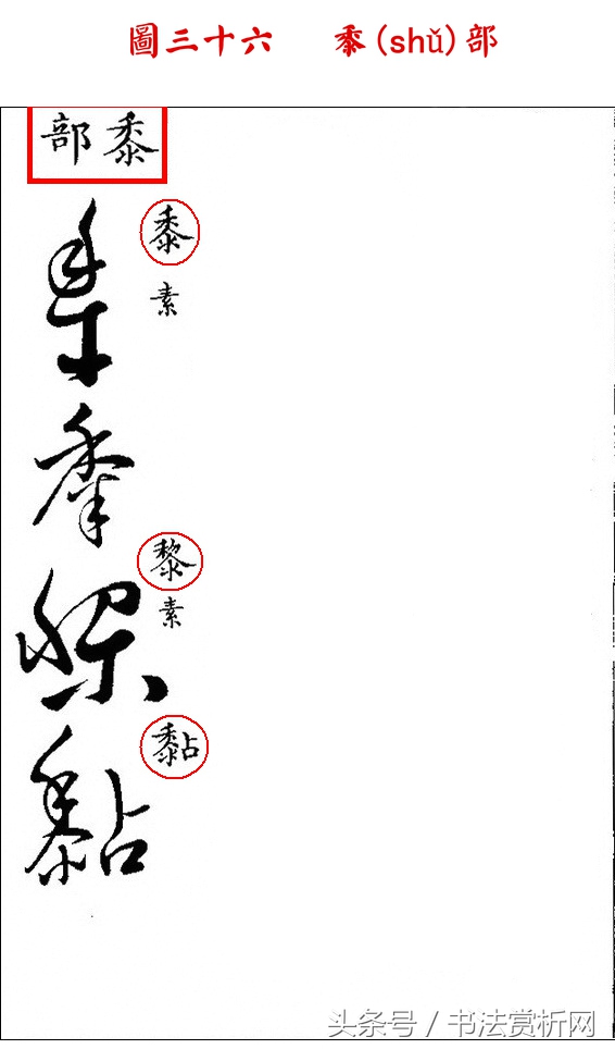 书法欣赏草书名家作品赏析,历代草书名家草体总汇之六