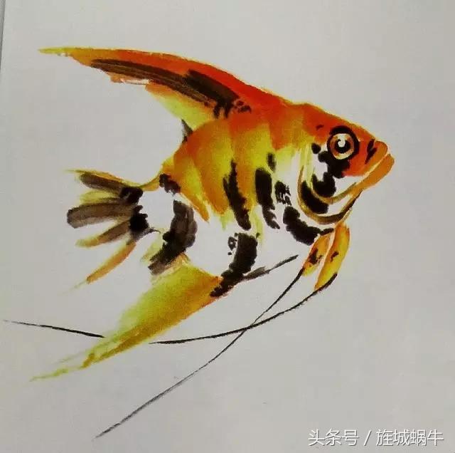 国画锦鲤鱼的画法与调色,国画写意神仙鱼100图欣赏