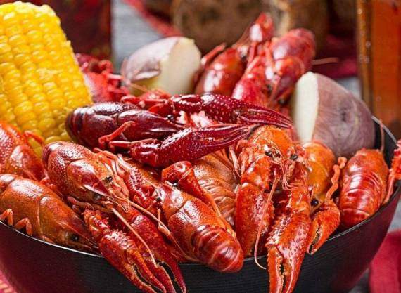 农村小型厂致富商机,农村商机加盟项目