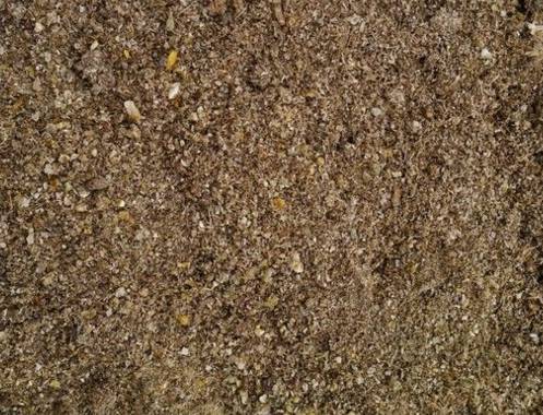 曝光6个适合农村人致富项目,农村特种种植致富项目有哪些