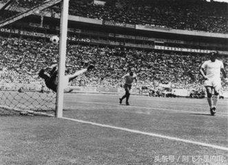 欧洲足坛最有名的十大门将,足坛十大奇迹门神