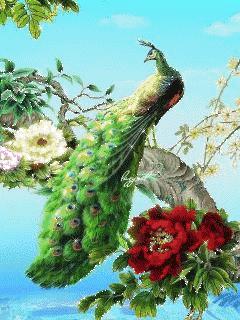 会动的漂亮图片,会动的图片十张