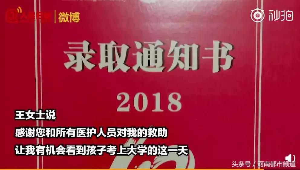 男生双膝下跪的视频,男子下跪感动无数人
