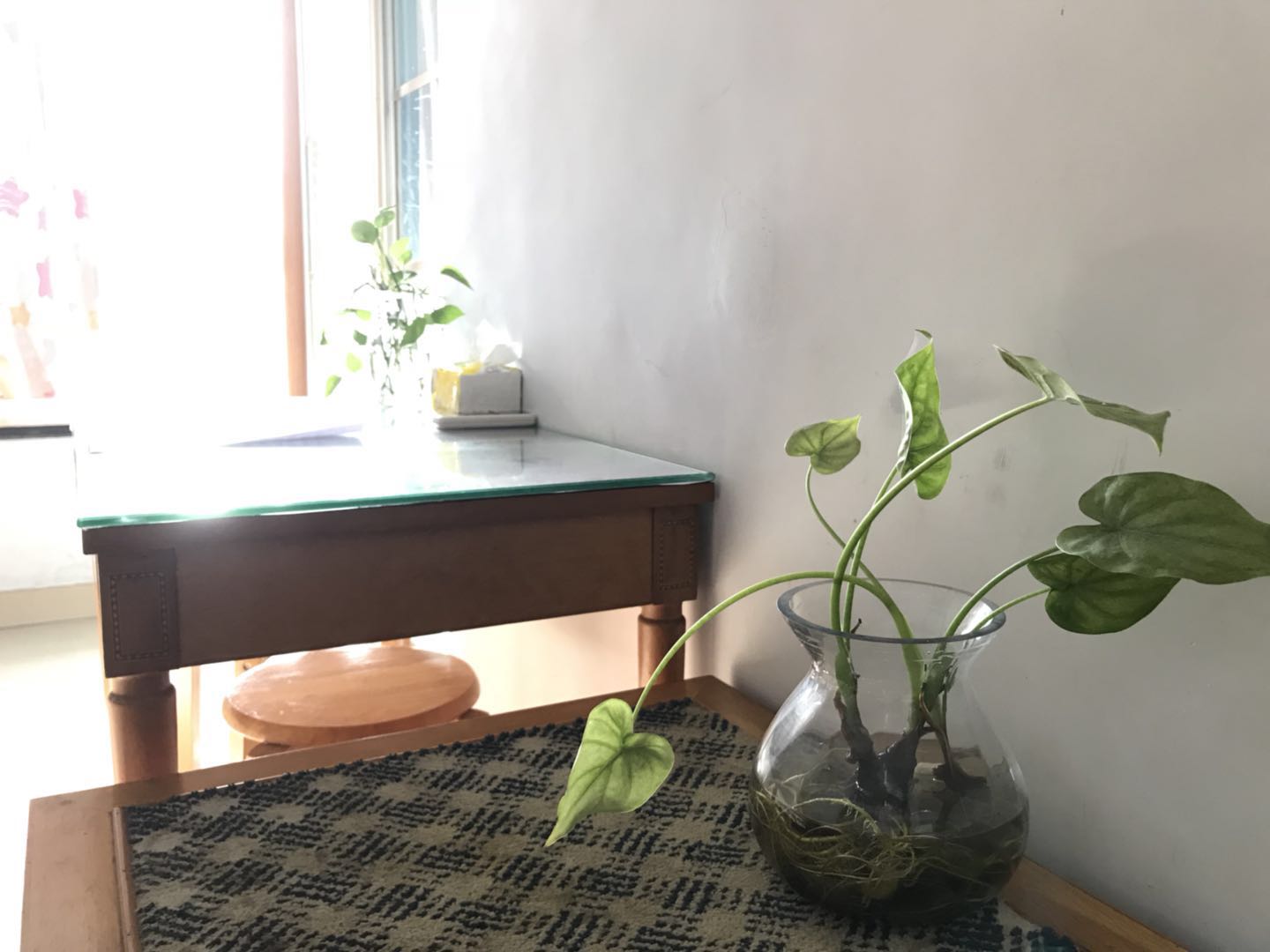 民宿创业9个月真实感受,真实记录我的民宿创业之旅