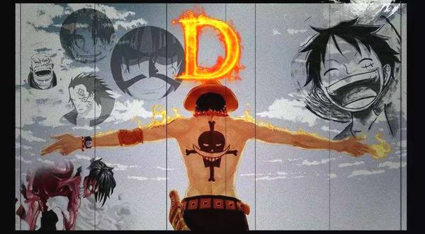 海贼王d的真正含义,海贼王d之一族的秘密