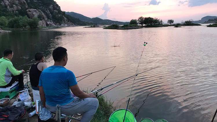 钓了这么多年鱼,钓了这么多年的鱼