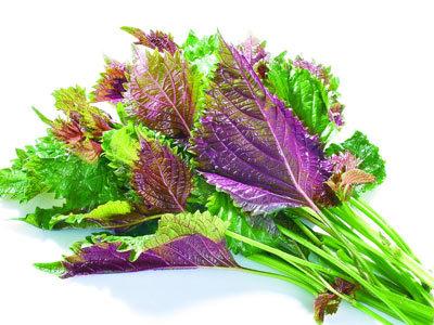 泡菜生白花用紫苏怎么处理,紫苏能去除泡菜白花吗