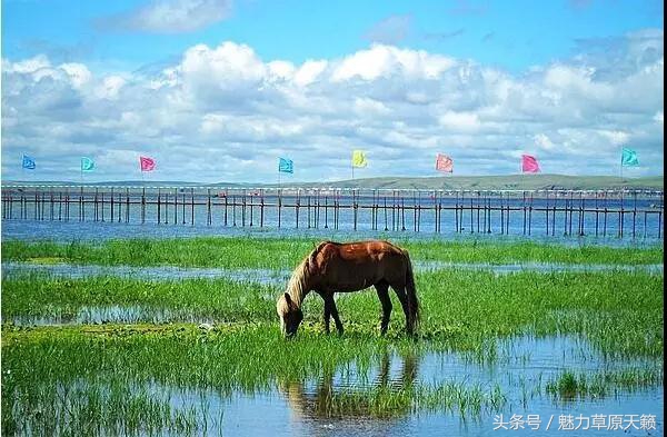 一座去了不想走的城市成都,一座去了还想去的城