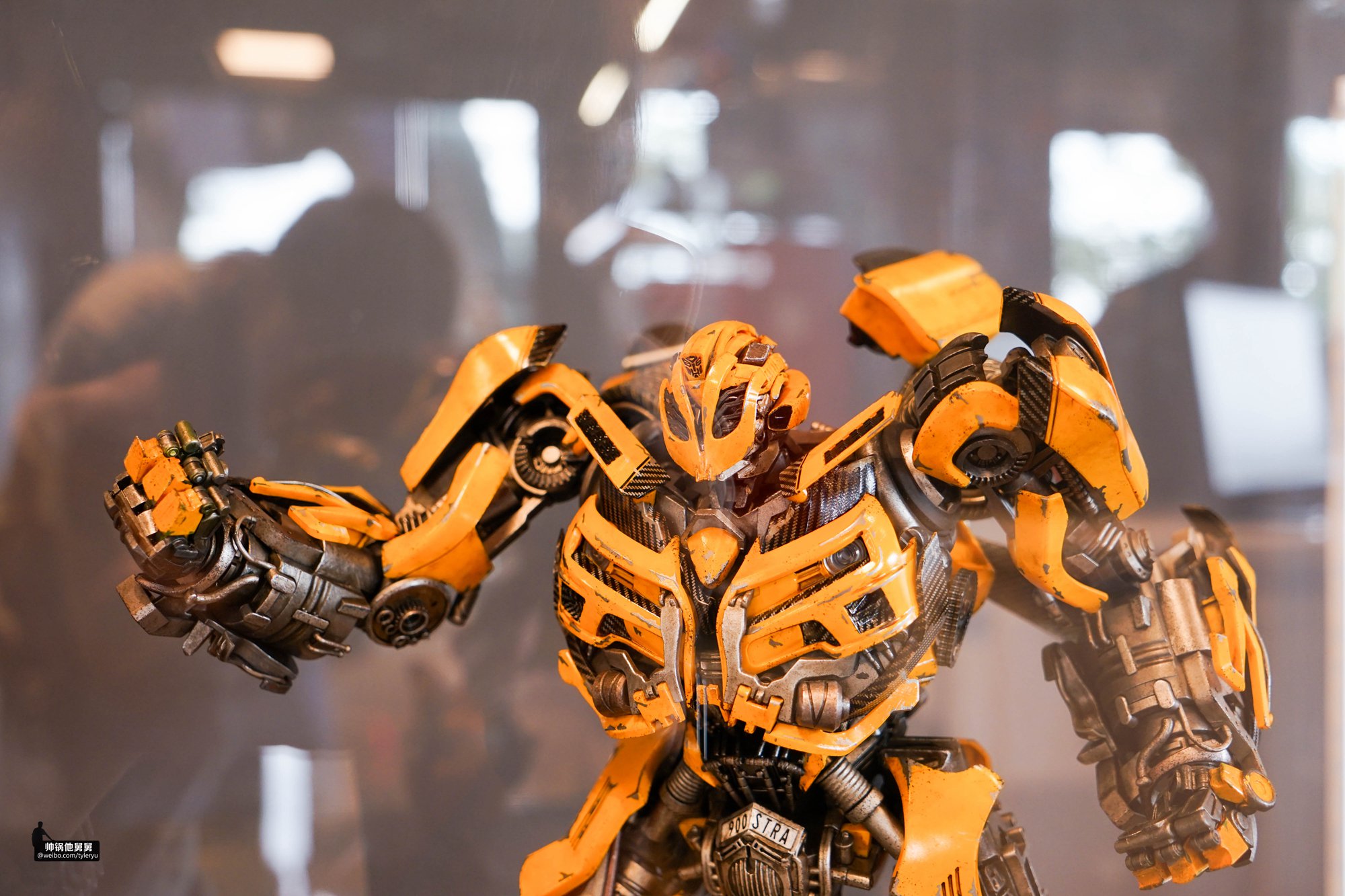 你想要的济州岛亲子游景点可能都在这一篇跨越2年的济州岛游记3