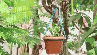 不同衣架的正确用法,最简最实用结实的衣架