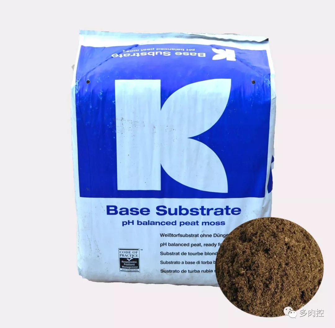 如何养好多多肉,怎么才能养好多肉盆栽