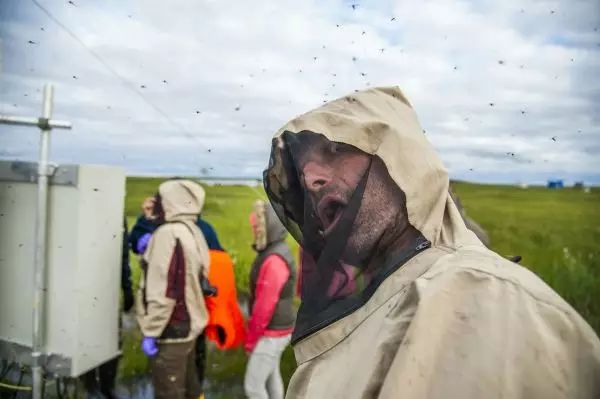 蚊子包怎么快速消红点,如何快速消灭蚊子包