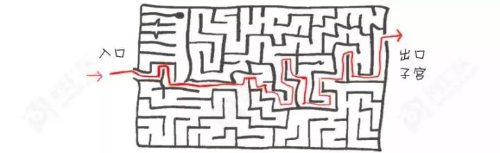 精子君追爱记|过五关斩六将,终抱得美人归