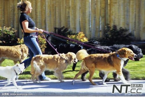 对话“异烟肼灭犬”论文作者：实验仅限实验室，为防治狂犬病