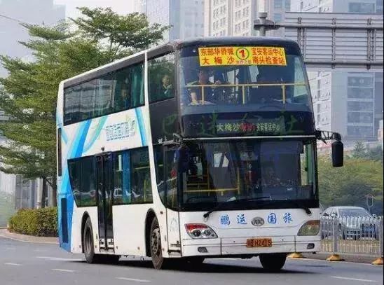 深圳失去了就会爱上的城市,深圳现状是什么