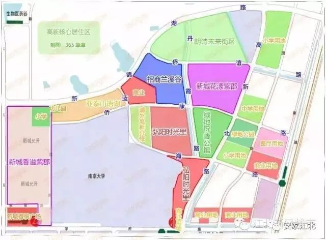 浦外高新分校和高新小学,高新浦外分校