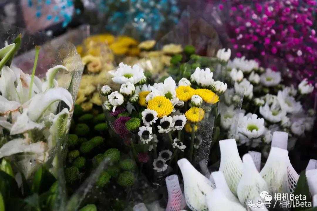 佳能ef70-200mmf4和2.8不防抖,佳能ef70-200f4is参数