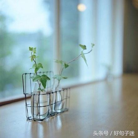 适合做心情签名的说说太走心了,适合发个性签名的句子