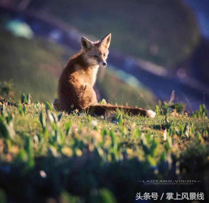 青海有片神秘之境,青海的神秘景点