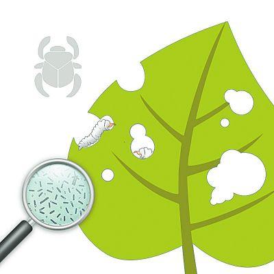 瓜果虫害,果蔬常见病虫害防治